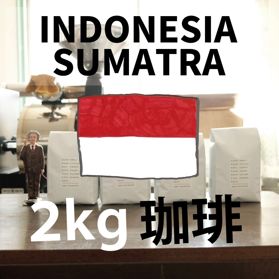 【インドネシア スマトラ Indonesia Smatera 業務用 2kg】