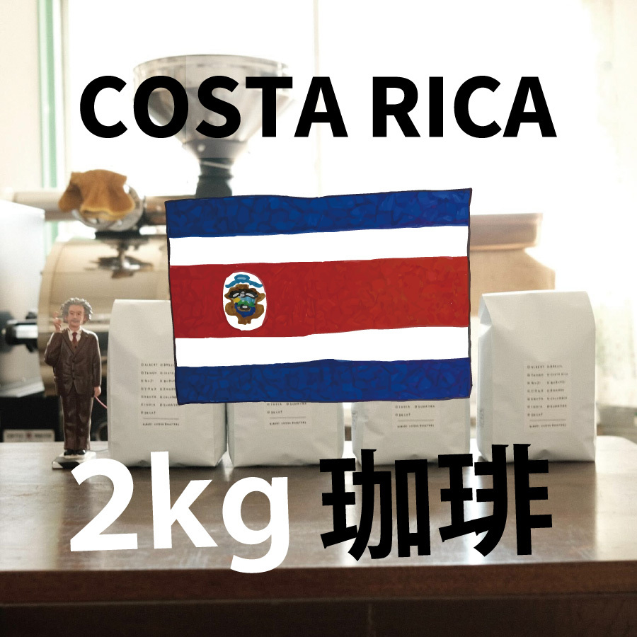 【 コスタリカ Costa Rica 業務用 2kg】