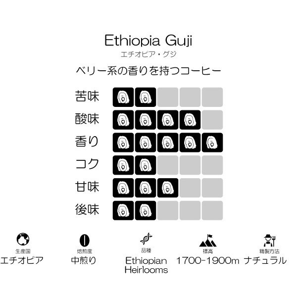 エチオピア グジ  中煎り コーヒー豆